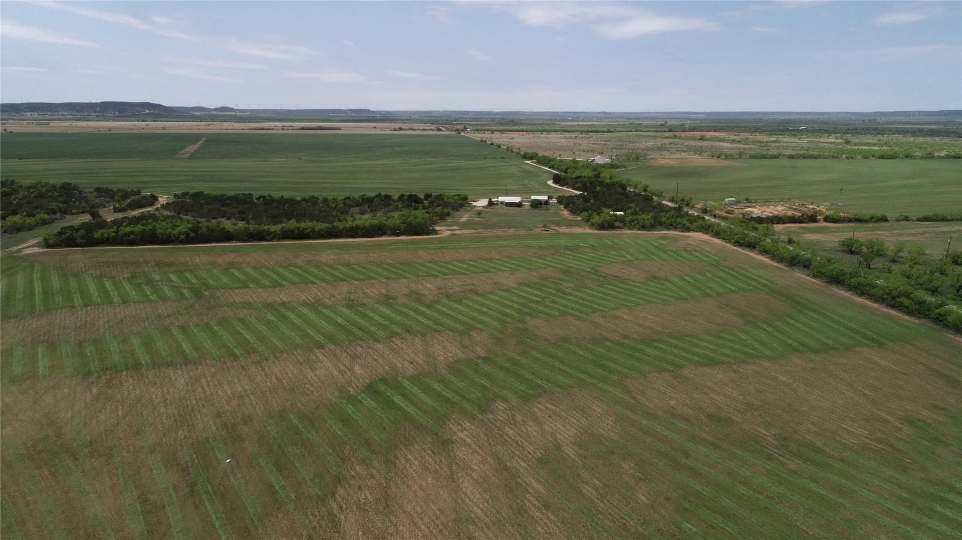 161.93 acres in Taylor County - photo 6