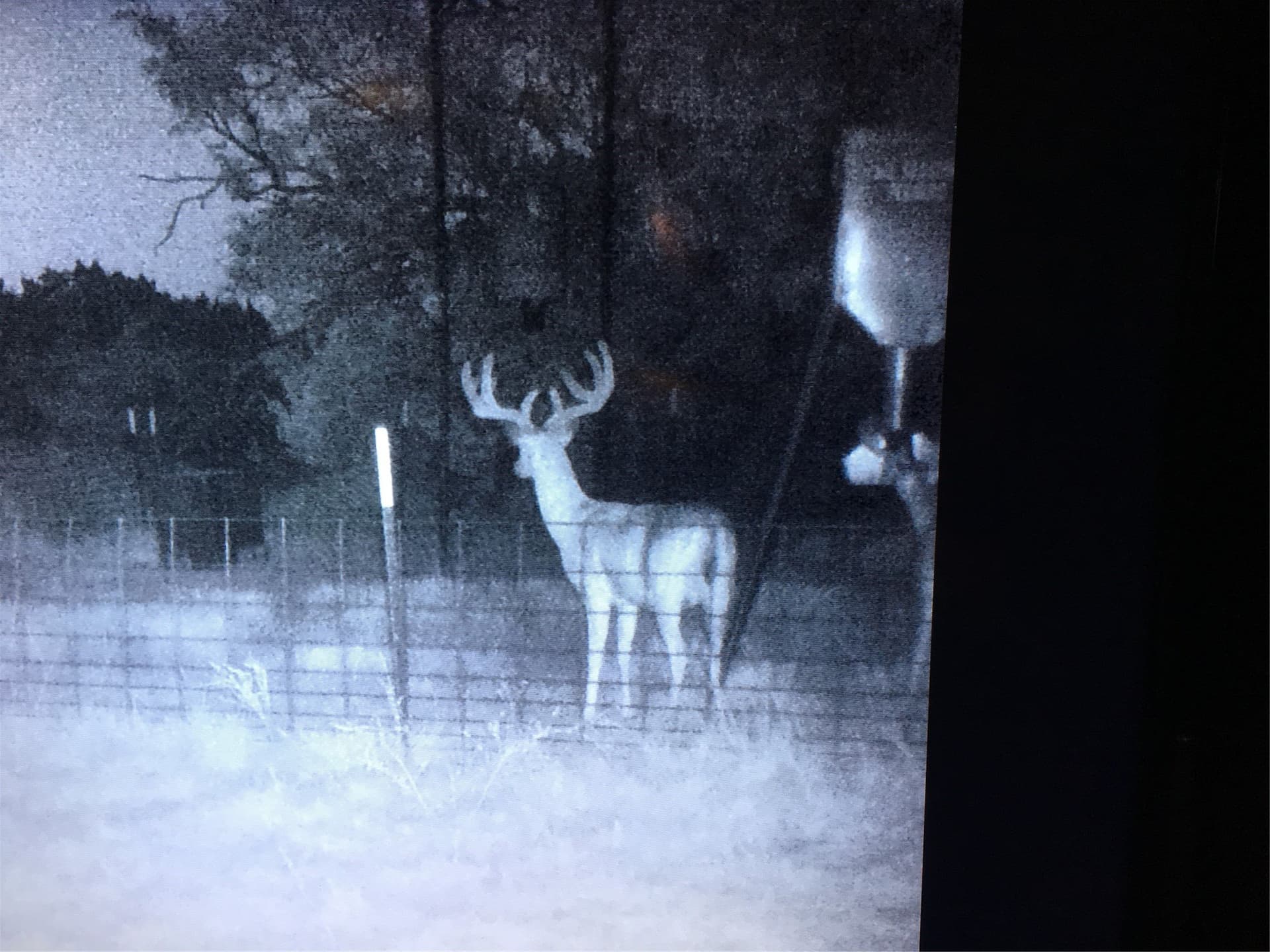 161.93 acres in Taylor County - photo 36