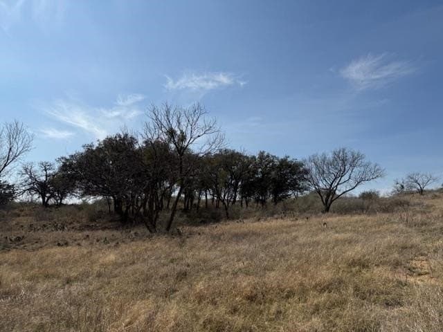 10.45 acres in Llano County - photo 7
