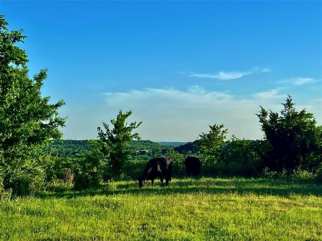 1,185 acres in Montague County gallery image 3