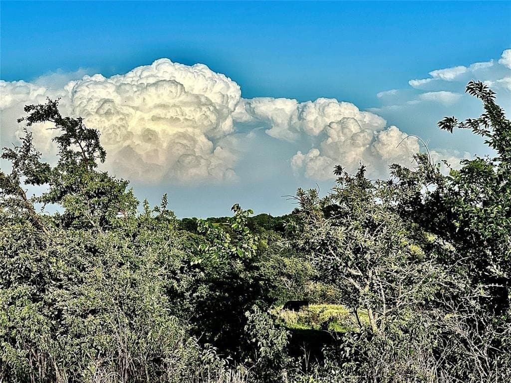 1,185 acres in Montague County gallery image 4