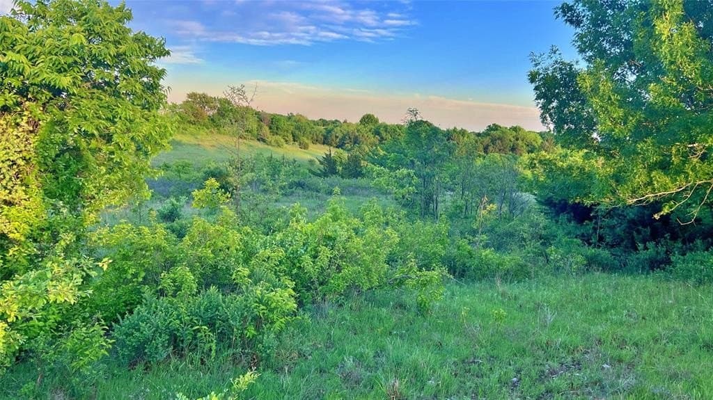 1,185 acres in Montague County gallery image 2