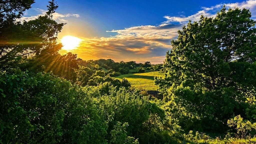 1,185 acres in Montague County