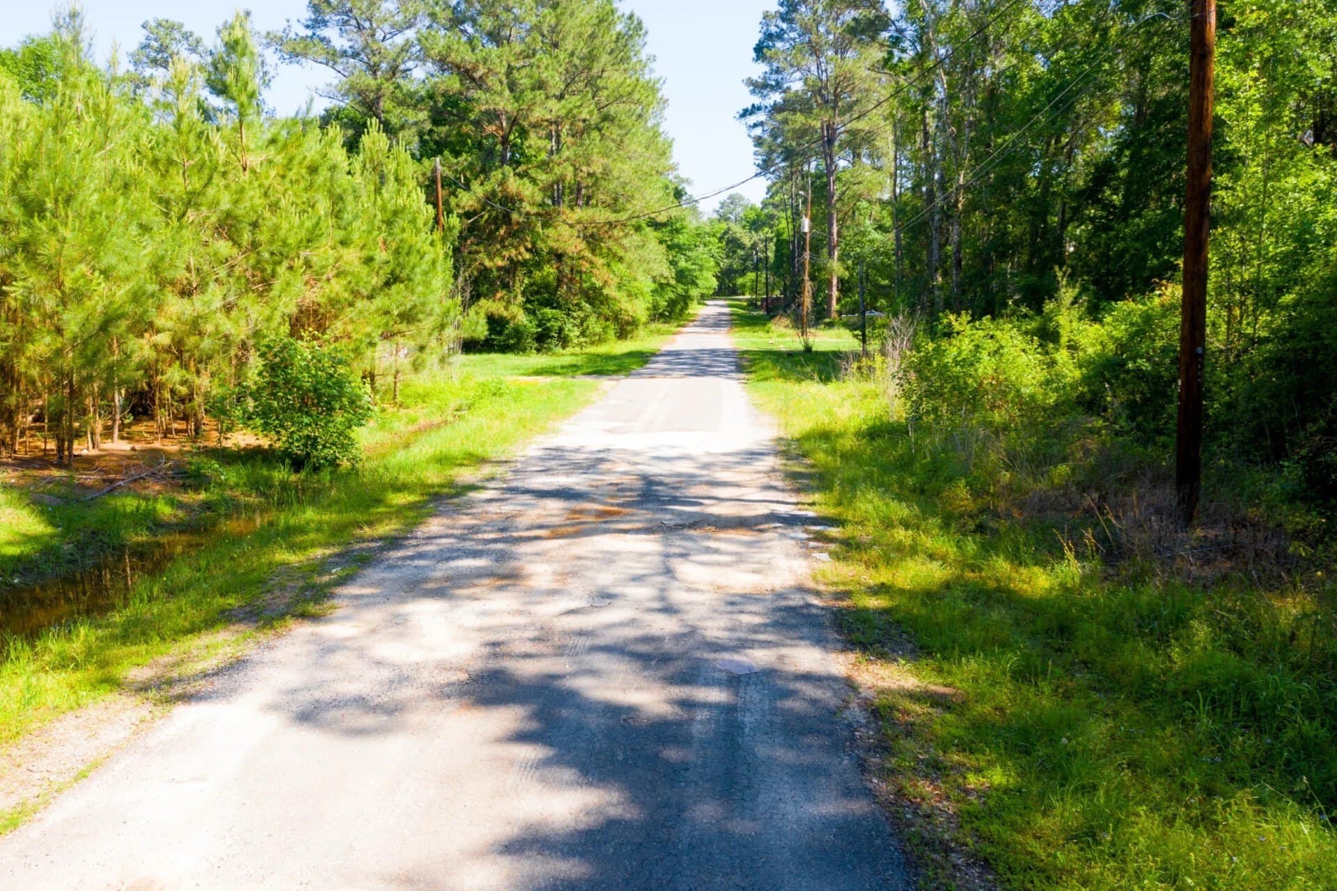 0.26 acres in Trinity County - photo 15