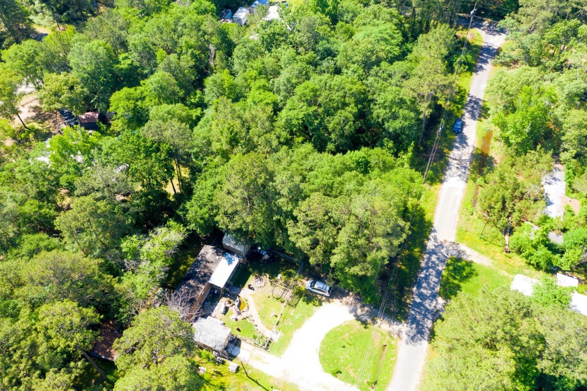 0.26 acres in Trinity County - photo 4