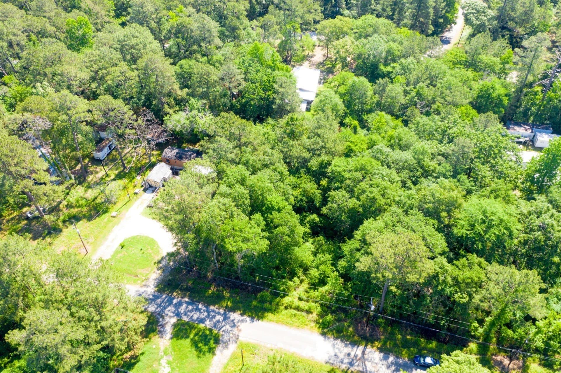 0.26 acres in Trinity County - photo 13