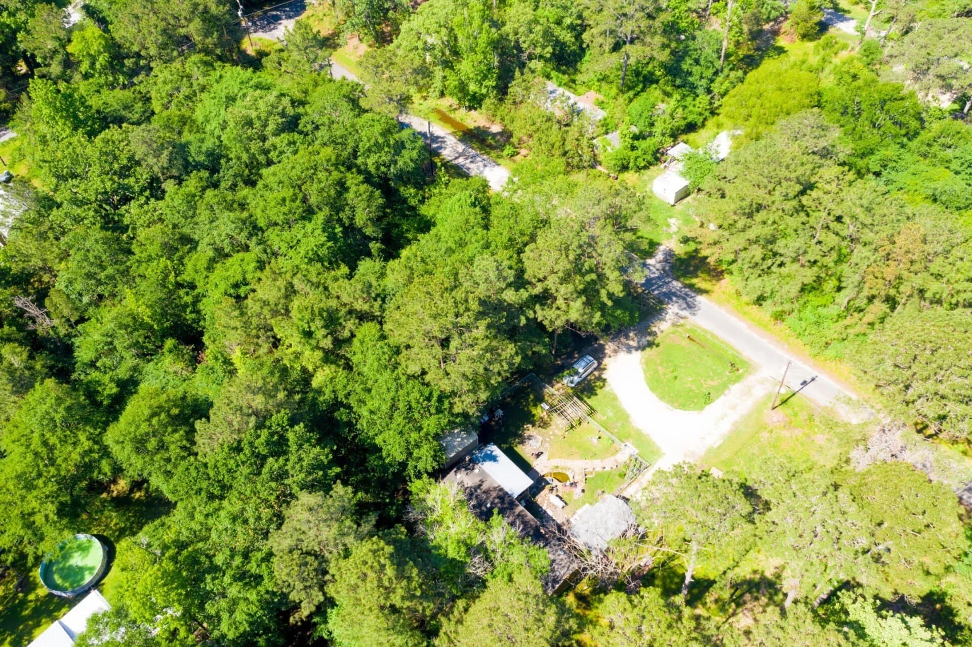0.26 acres in Trinity County - photo 6