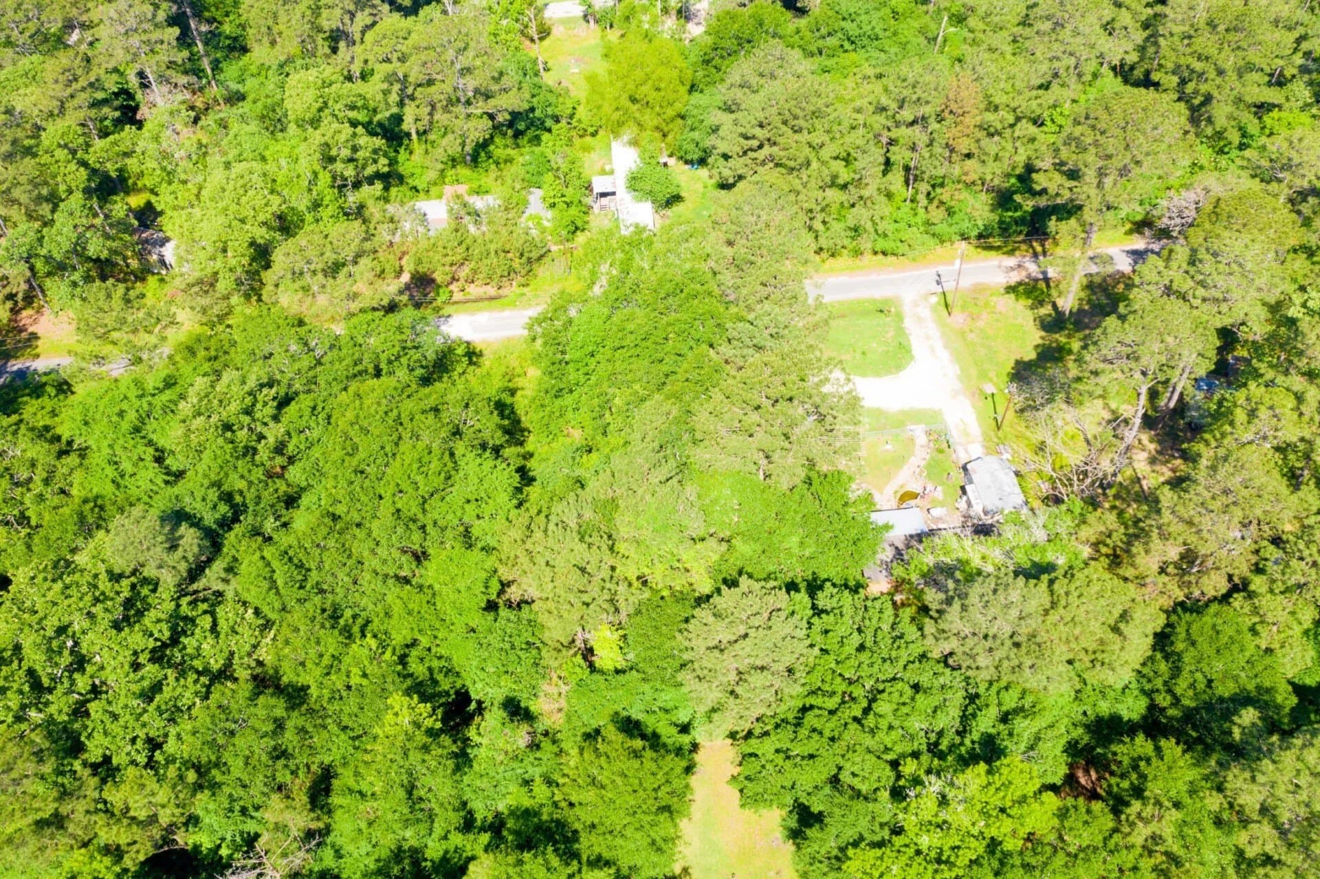 0.26 acres in Trinity County - photo 8