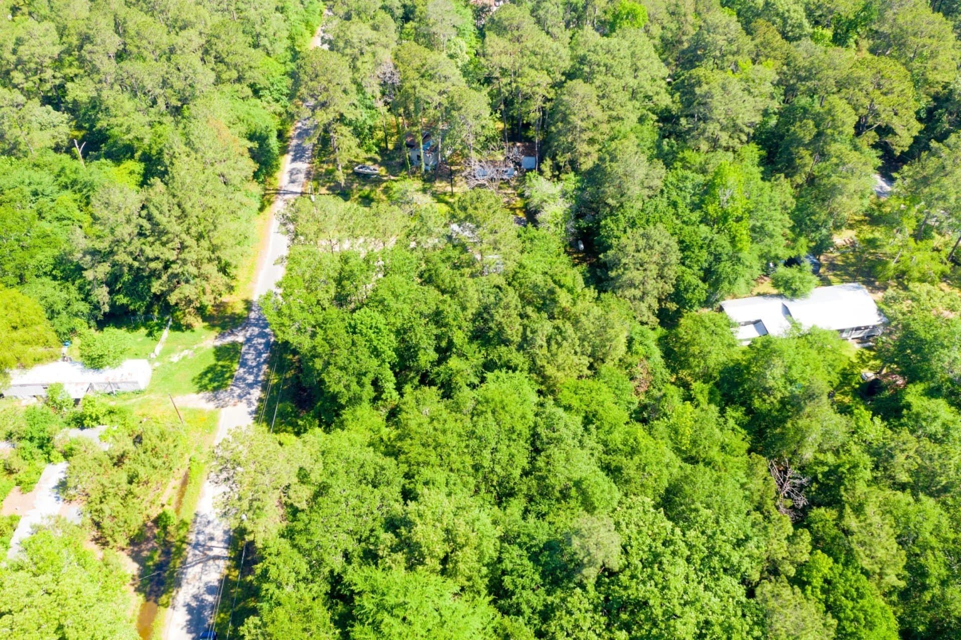 0.26 acres in Trinity County - photo 11