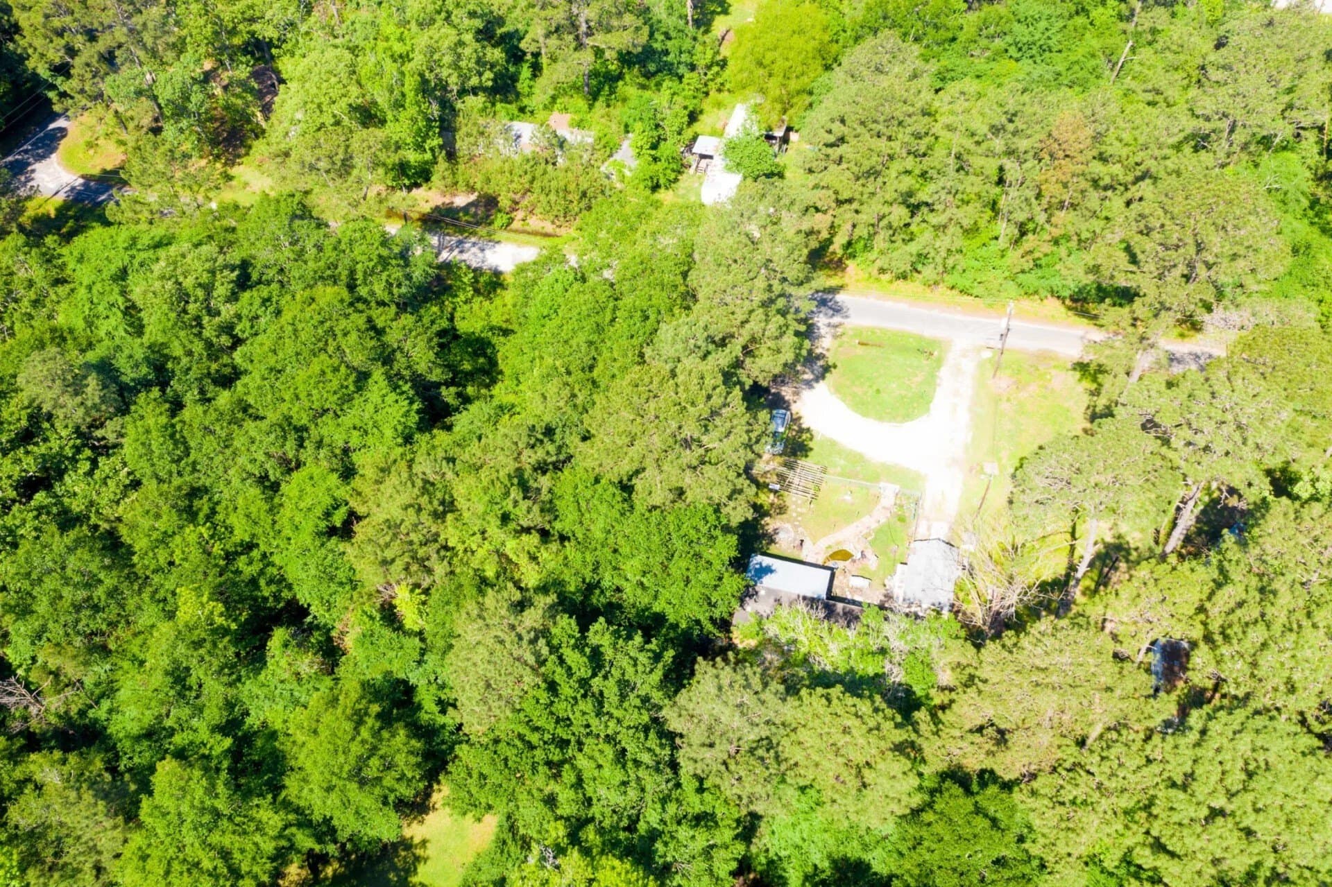 0.26 acres in Trinity County - photo 7