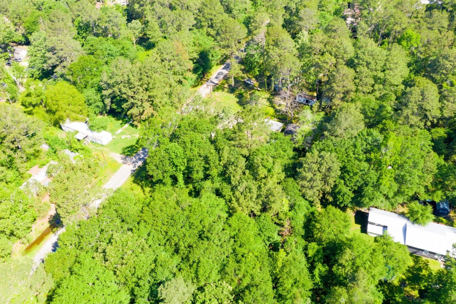 0.26 acres in Trinity County - photo 10