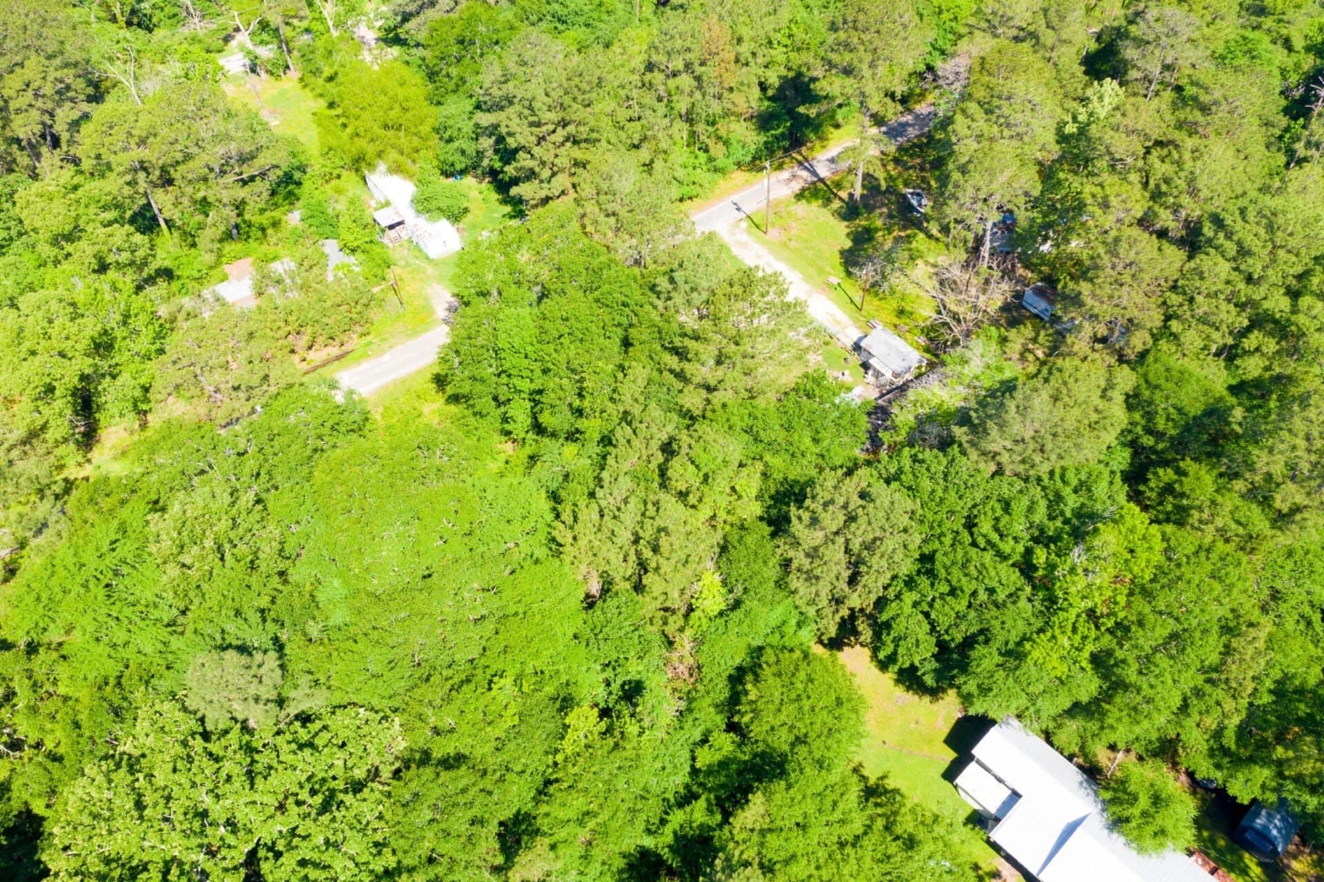0.26 acres in Trinity County - photo 9