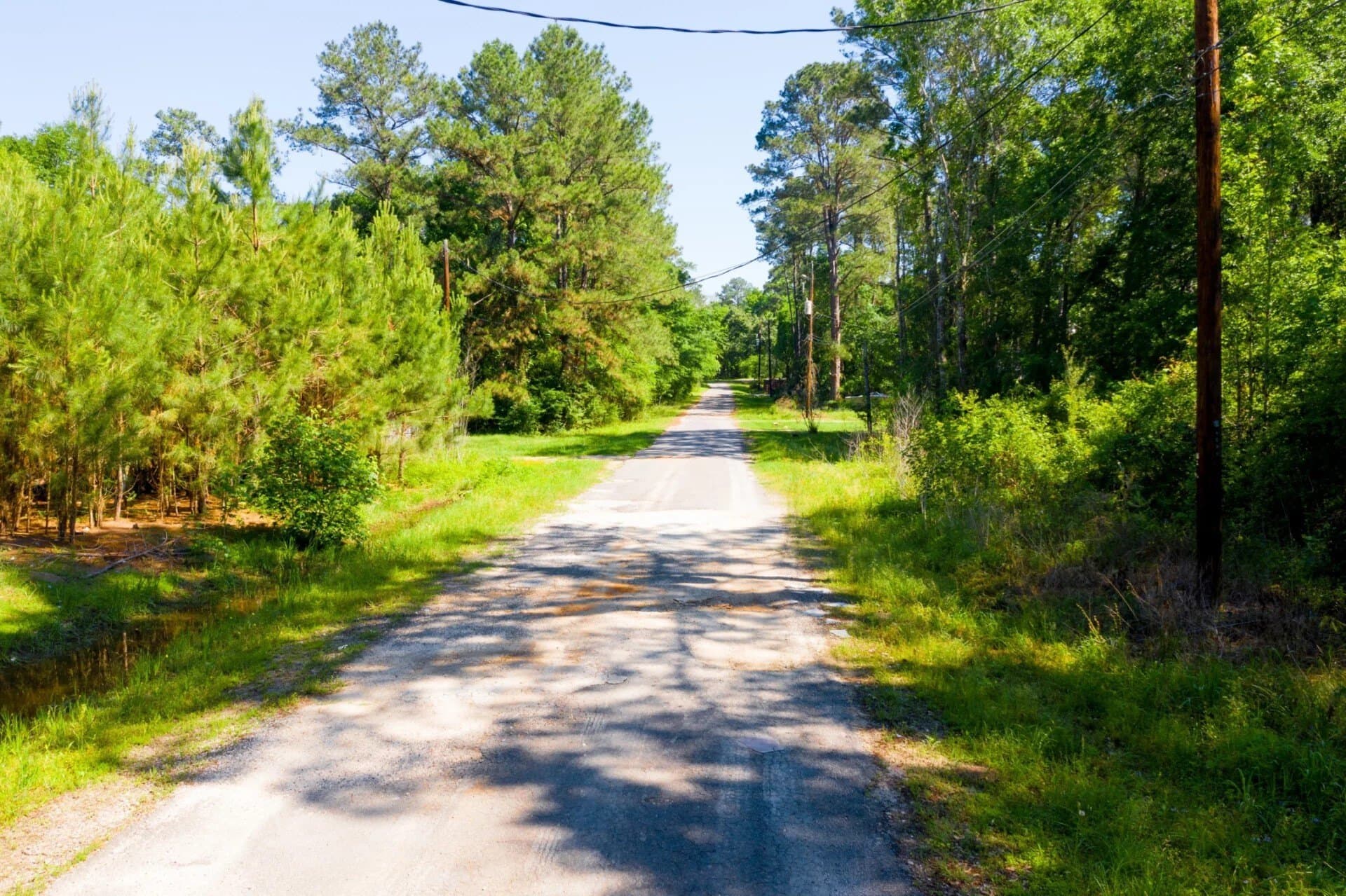 0.26 acres in Trinity County - photo 16