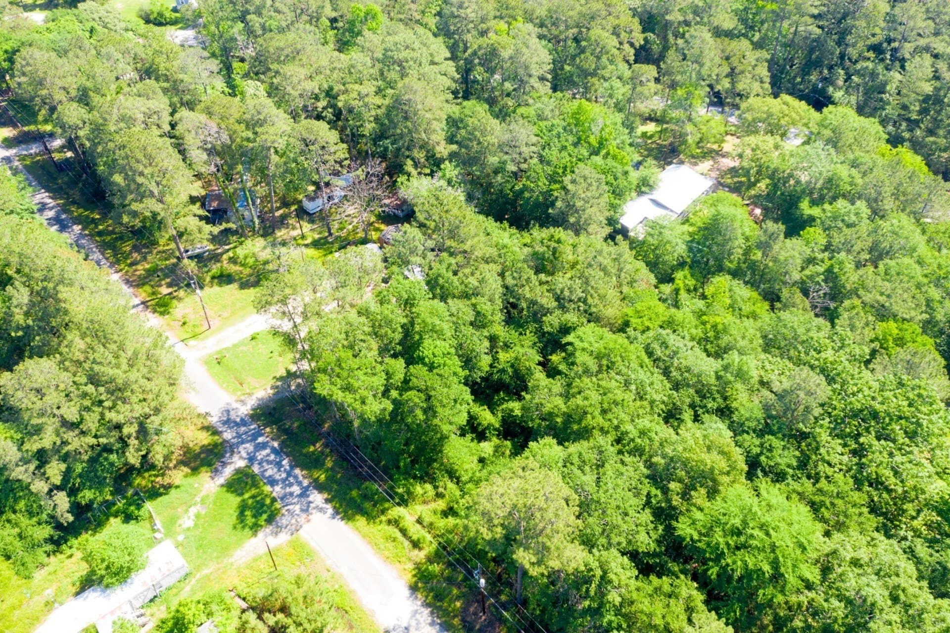 0.26 acres in Trinity County - photo 12
