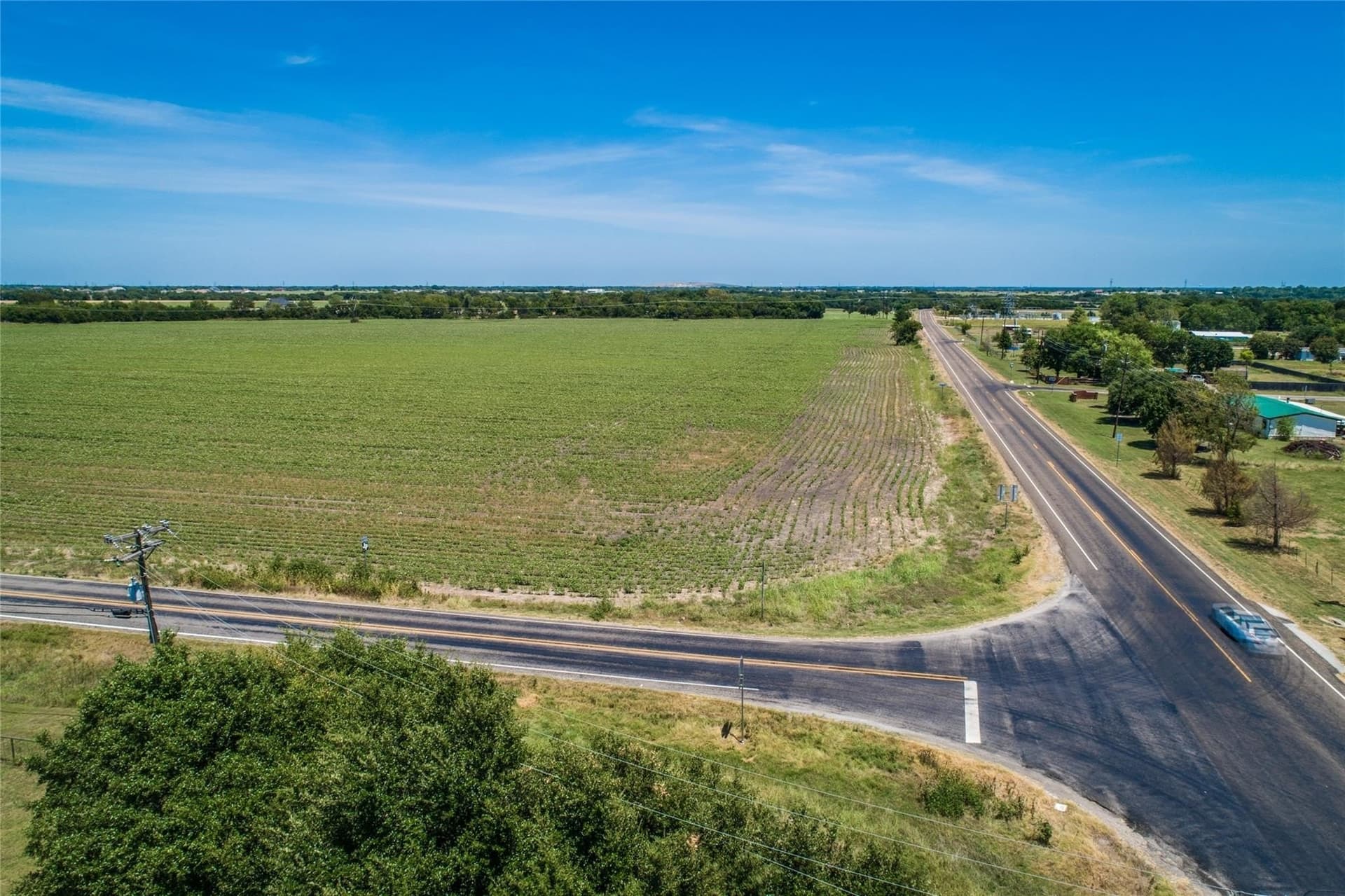 112 acres in Ellis County - photo 4