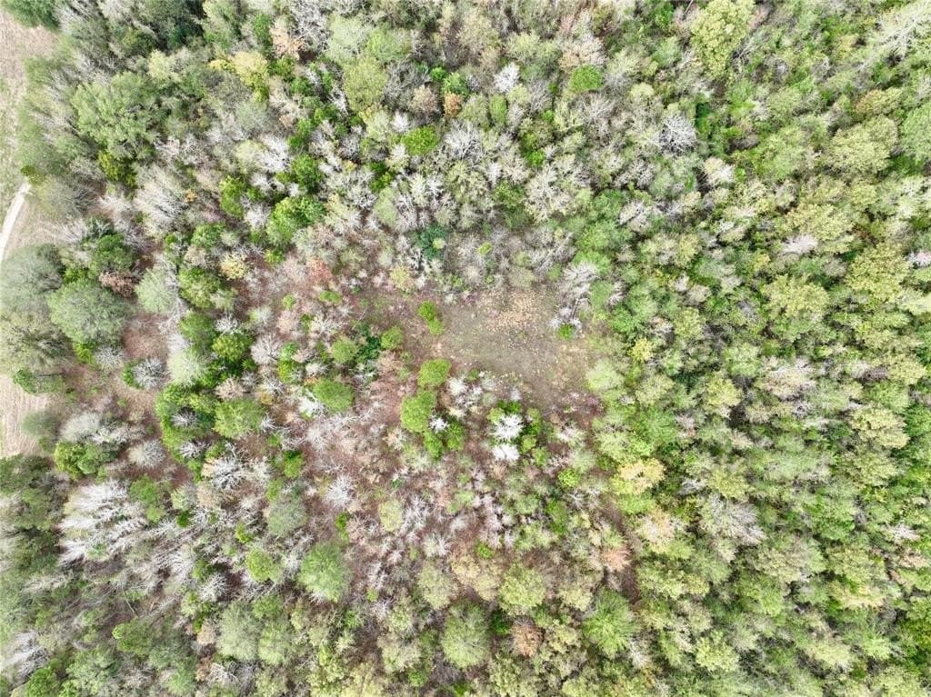 12 acres in Smith County gallery image 2