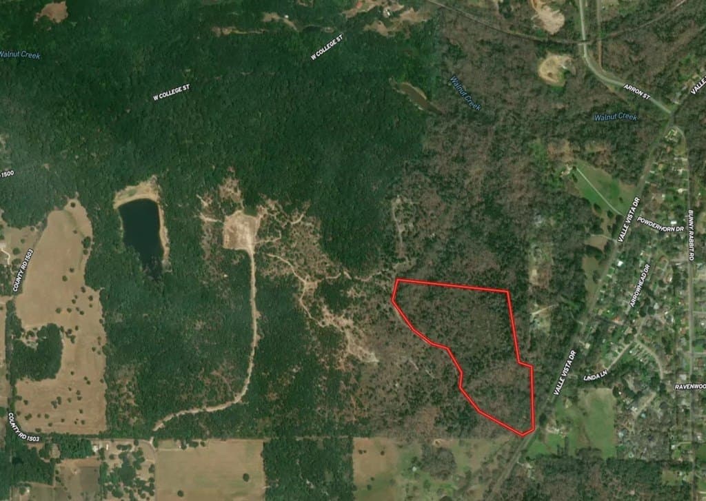 25.6 acres in Henderson County gallery image 2