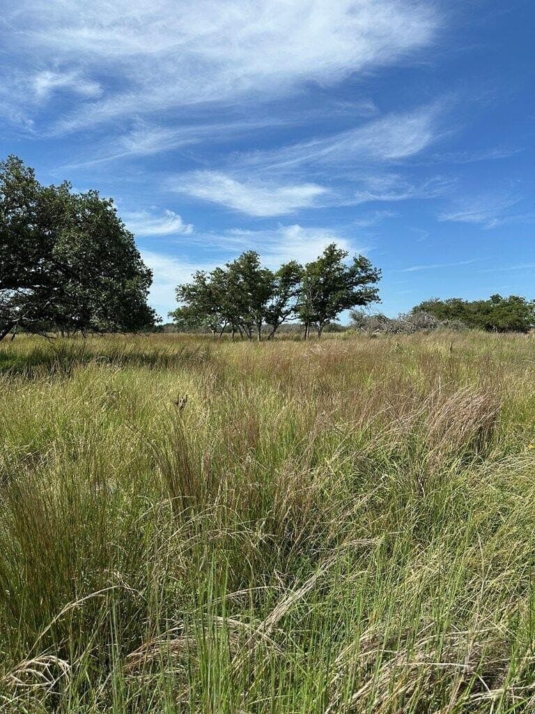 5.02 acres in Kerr County - photo 14