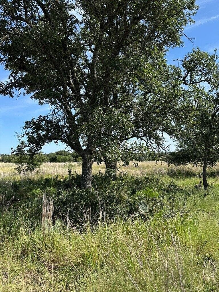 5.02 acres in Kerr County - photo 11