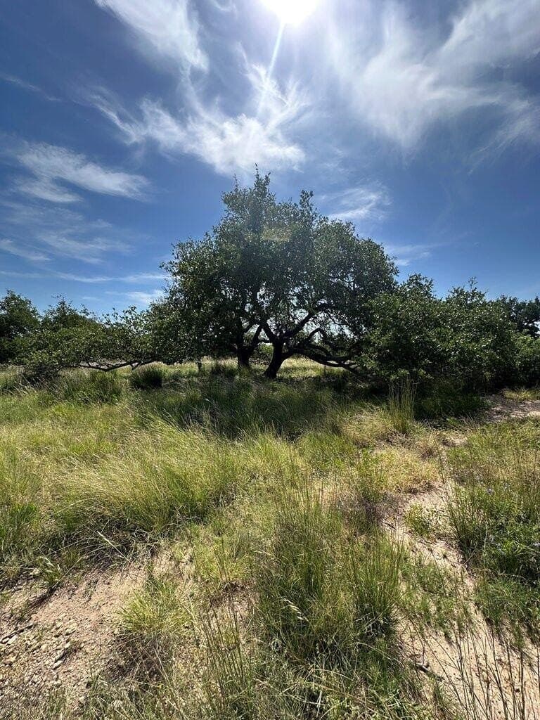 5.02 acres in Kerr County - photo 8