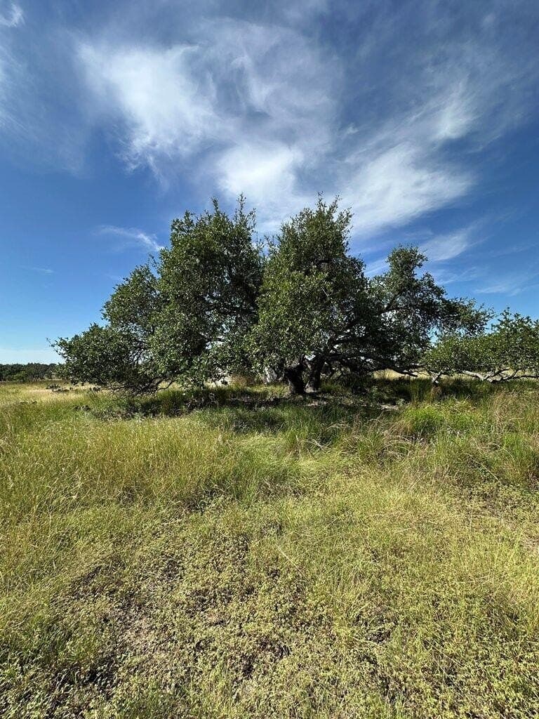 5.02 acres in Kerr County - photo 10