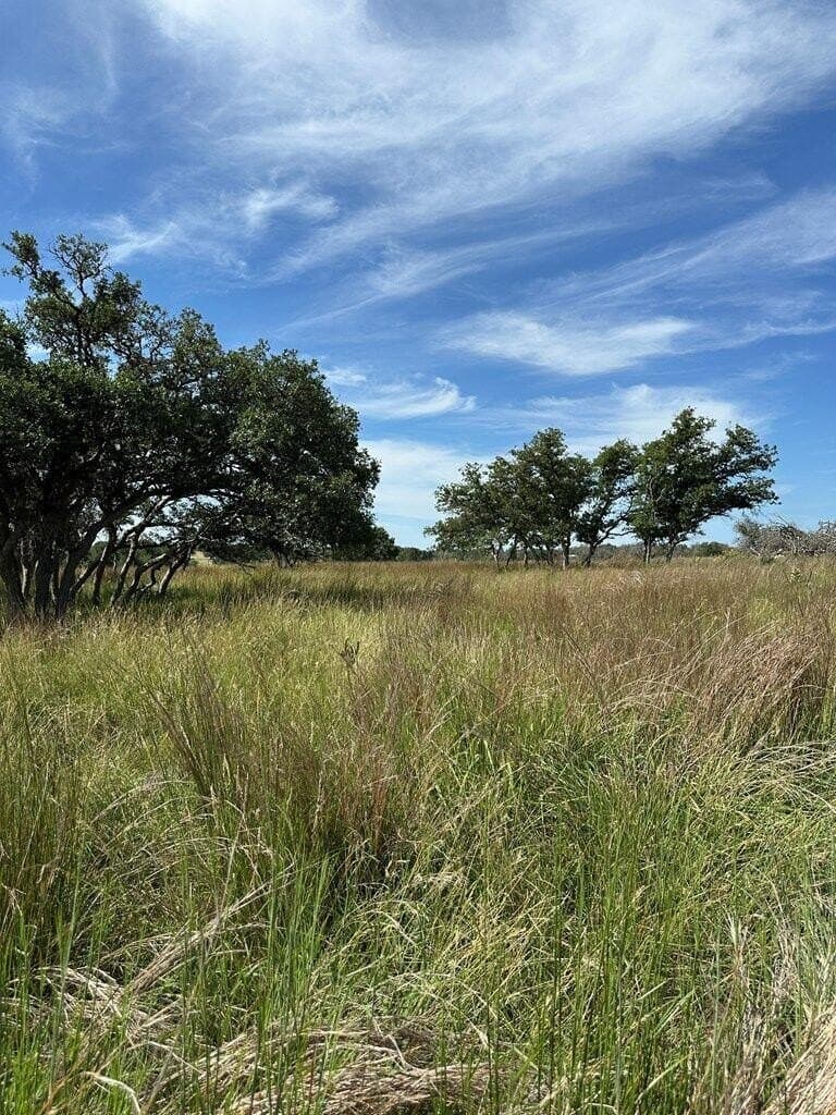 5.02 acres in Kerr County - photo 16