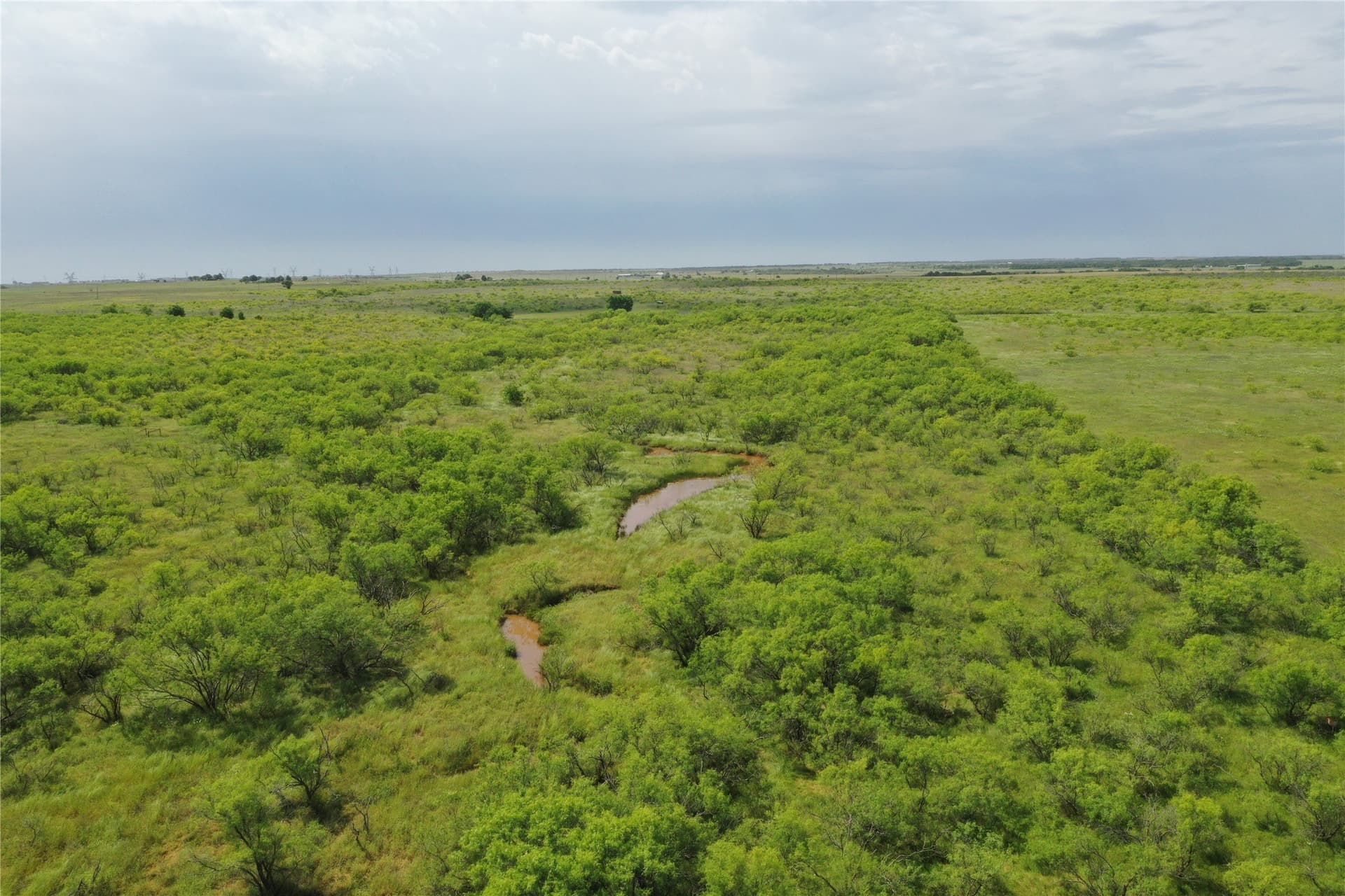 47.77 acres in Clay County - photo 6