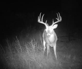 47.77 acres in Clay County - photo 8