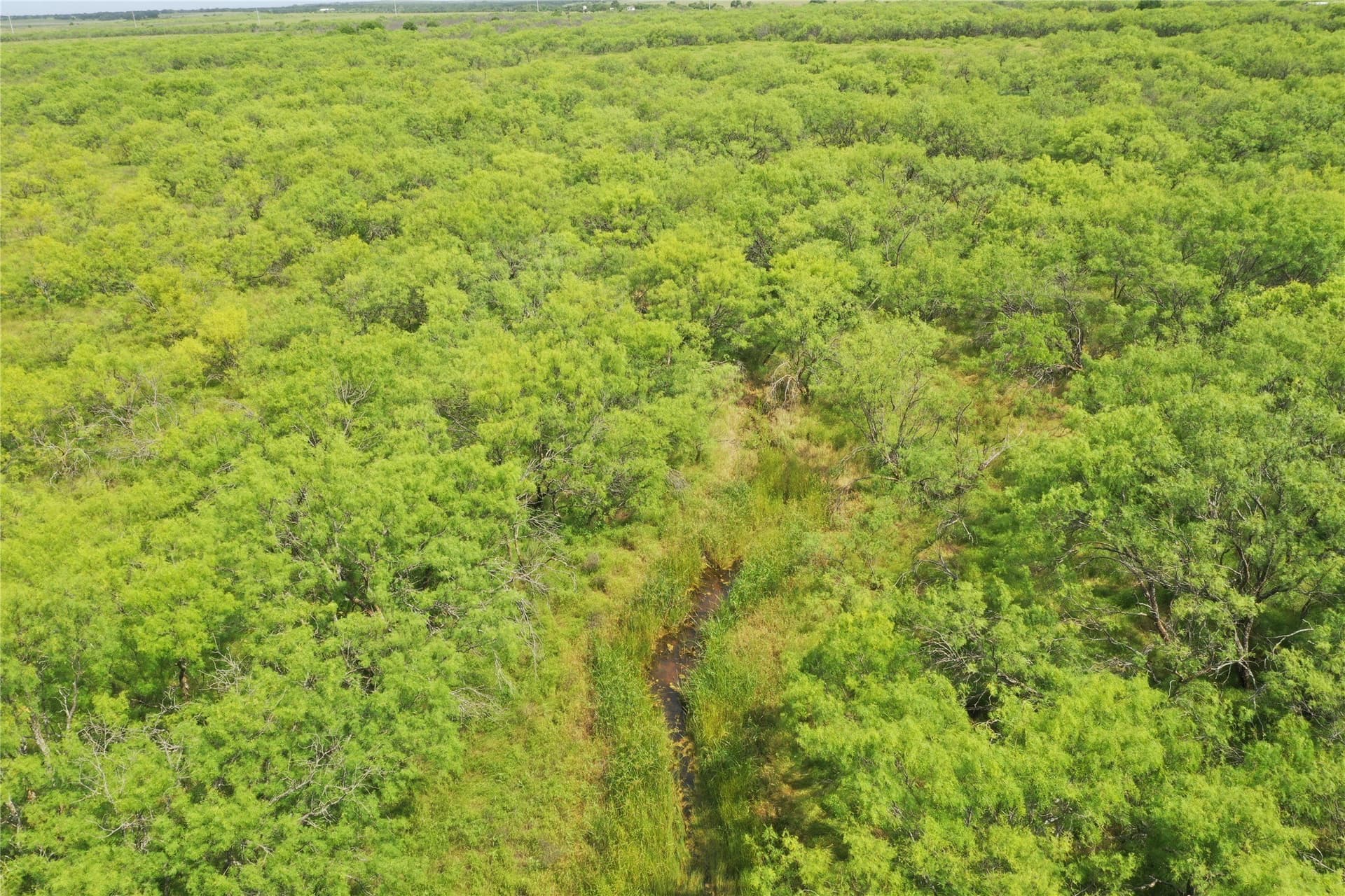 47.77 acres in Clay County - photo 7