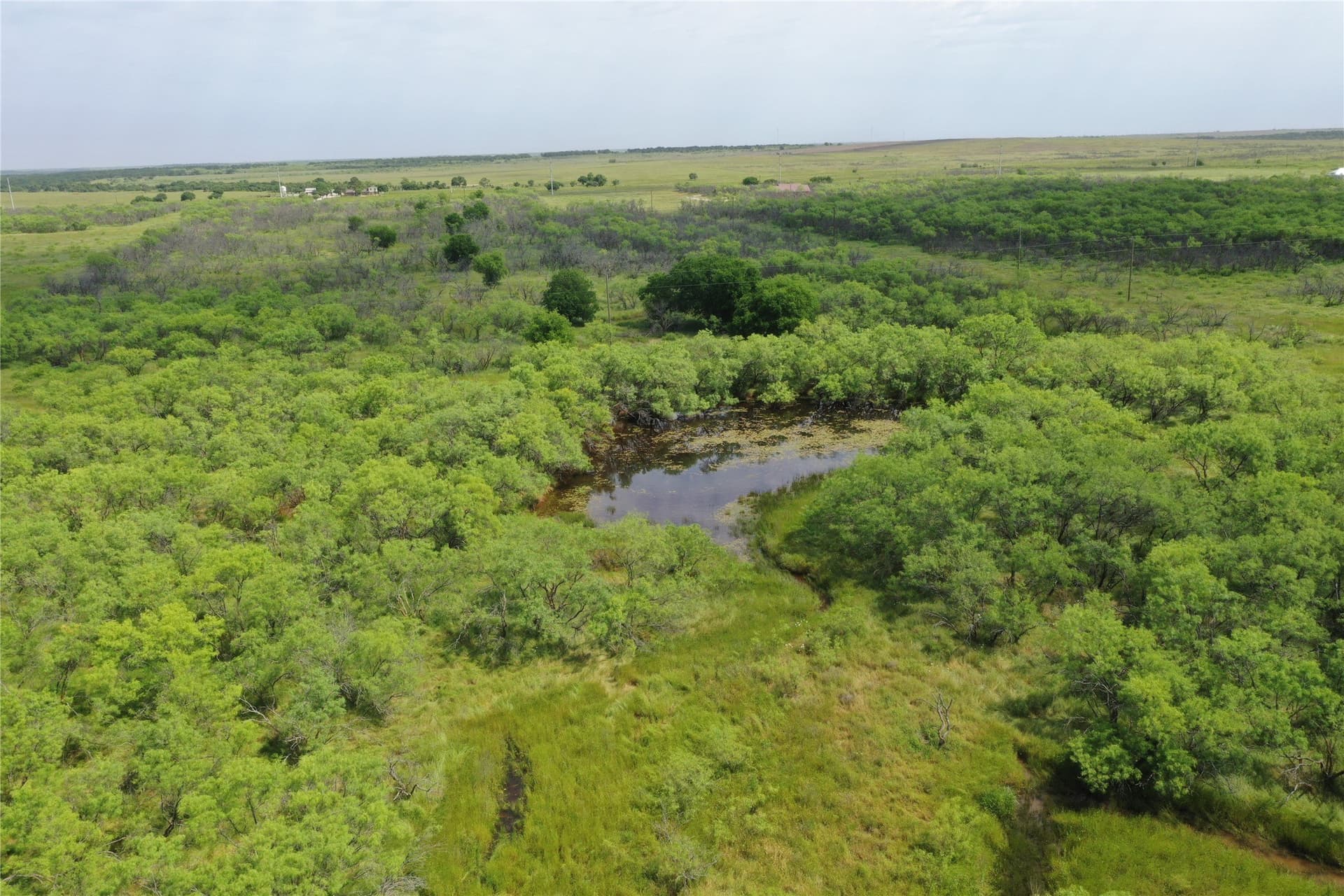 47.77 acres in Clay County