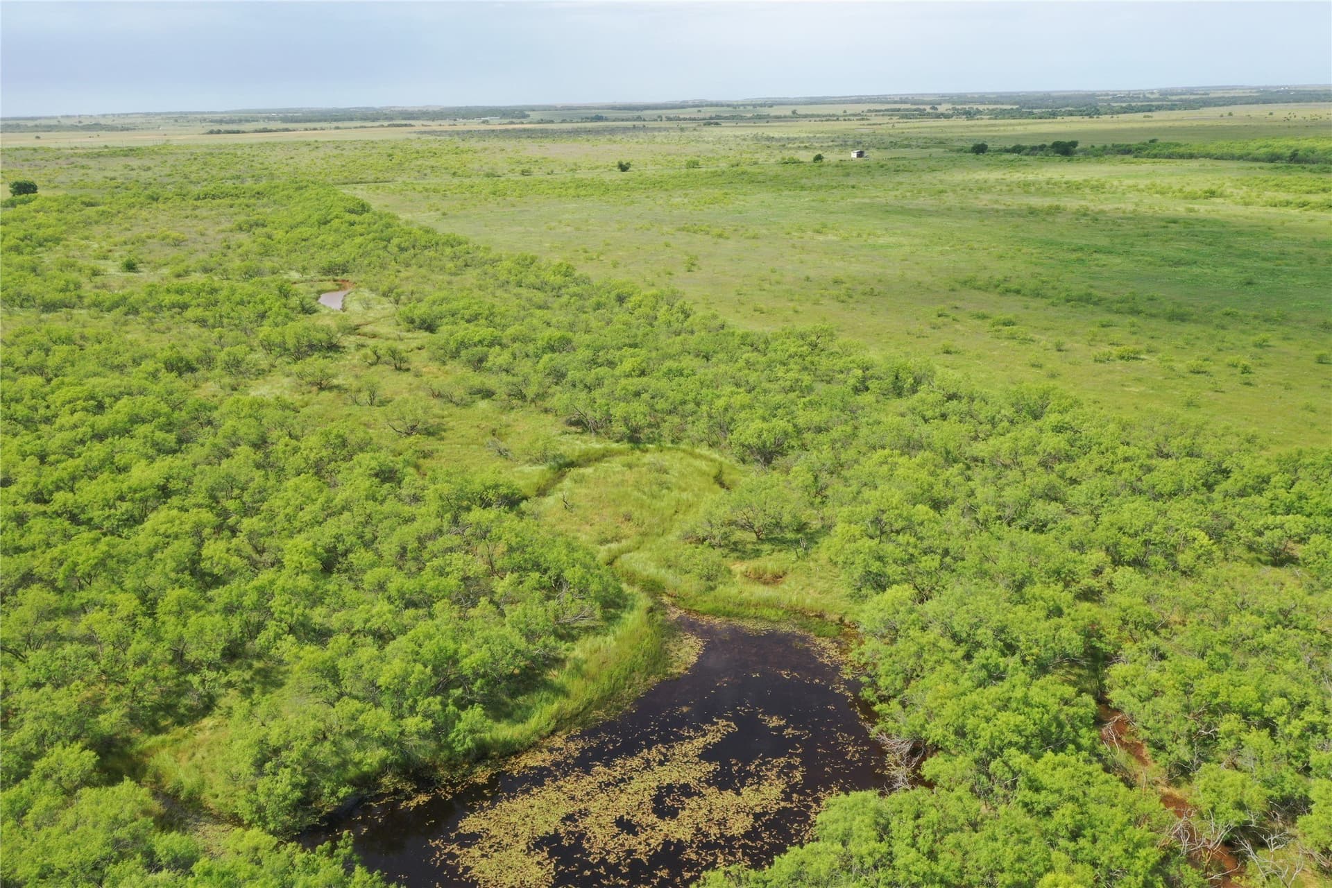 47.77 acres in Clay County - photo 2