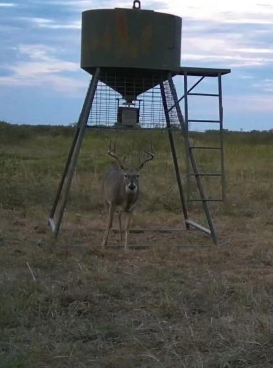 47.77 acres in Clay County - photo 9