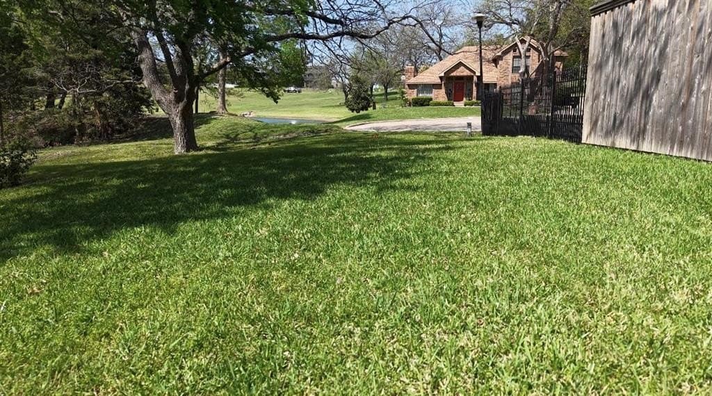 0.25 acres in Rockwall County gallery image 2