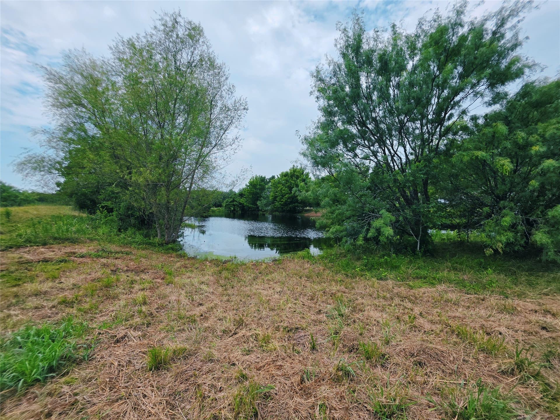 33 acres in Navarro County - photo 40