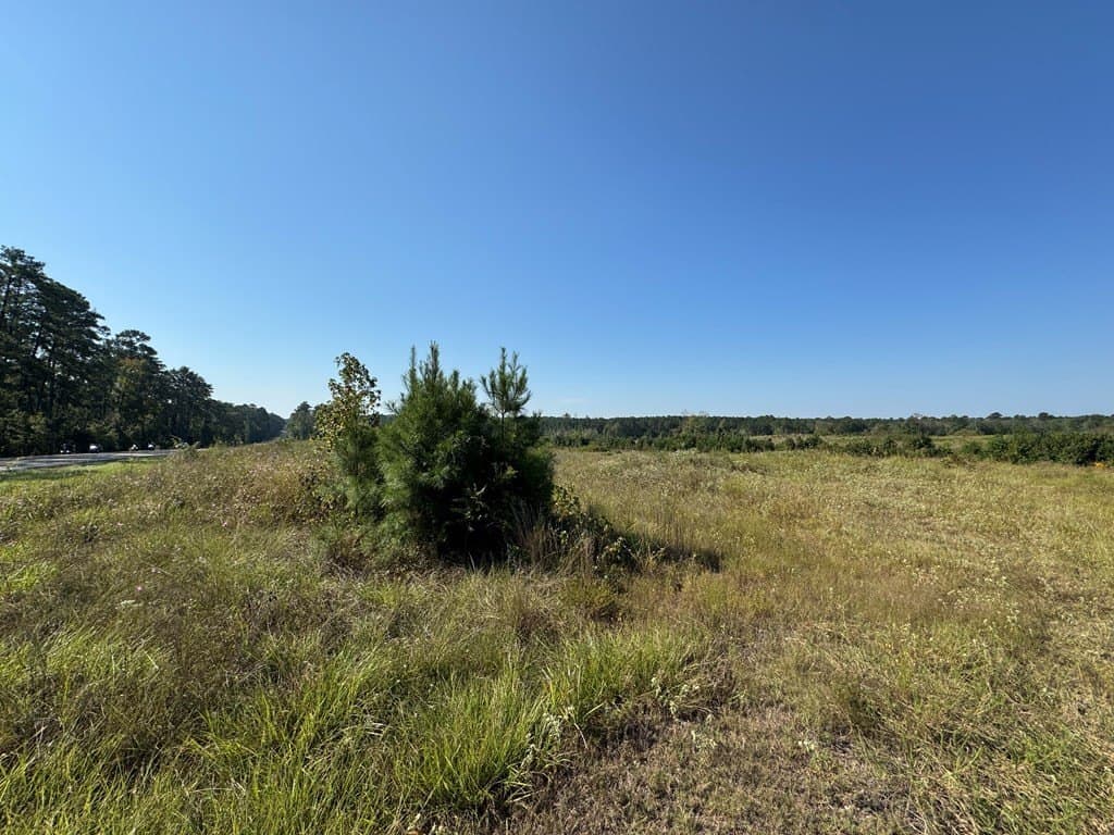 25 acres in Texas County gallery image 4