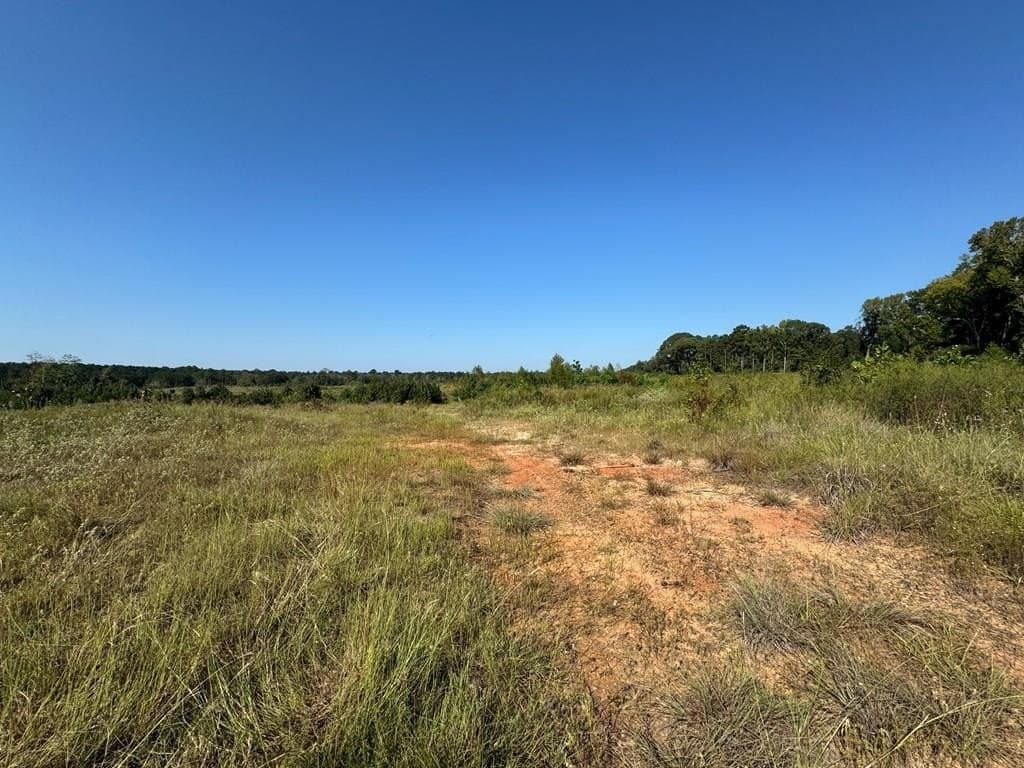 25 acres in Texas County