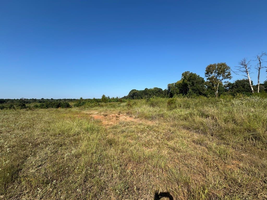25 acres in Texas County featured view