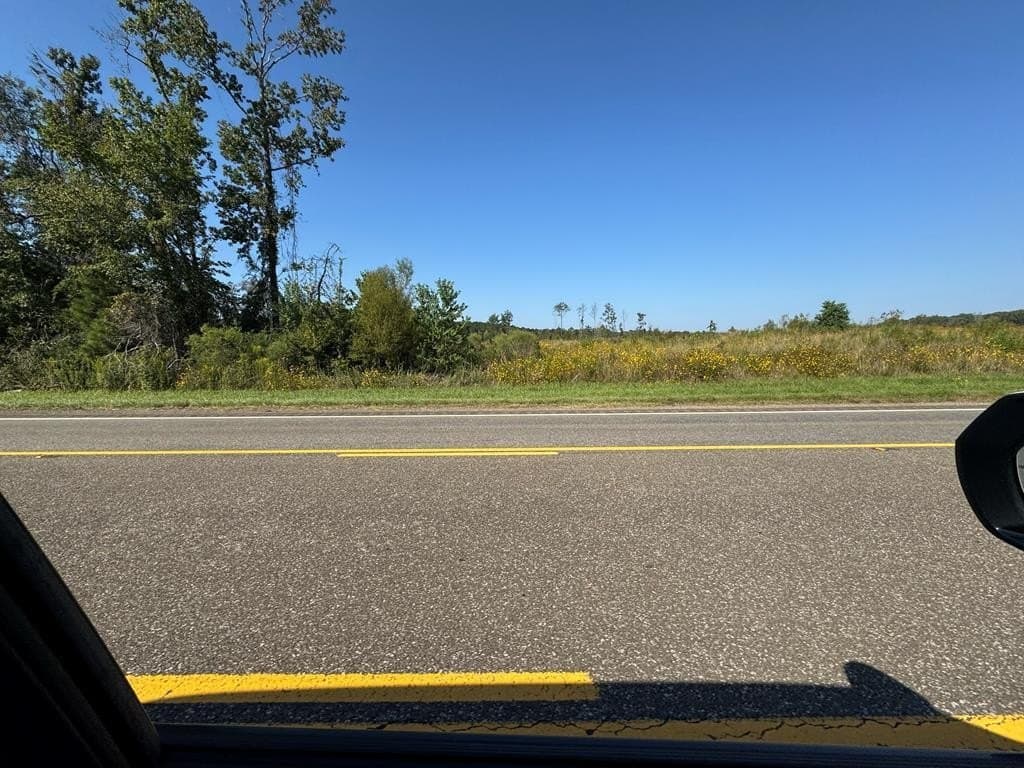 25 acres in Texas County gallery image 2