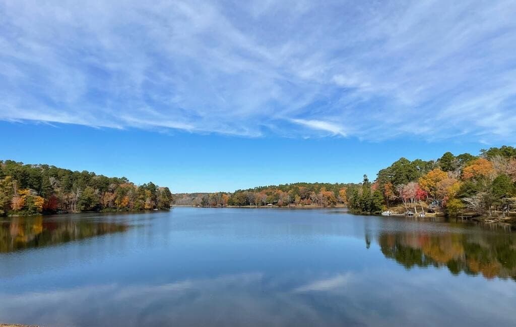10 acres in Anderson County - photo 26