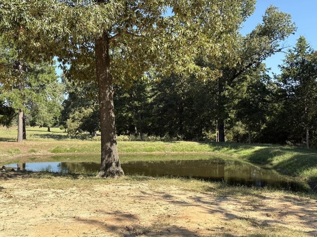 10 acres in Anderson County - photo 4