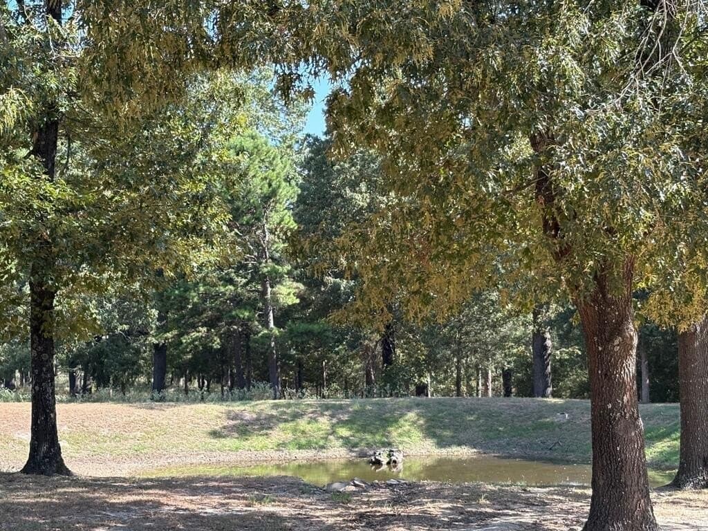 10 acres in Anderson County - photo 20