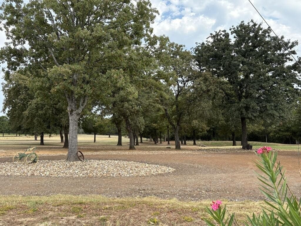 10 acres in Anderson County - photo 31