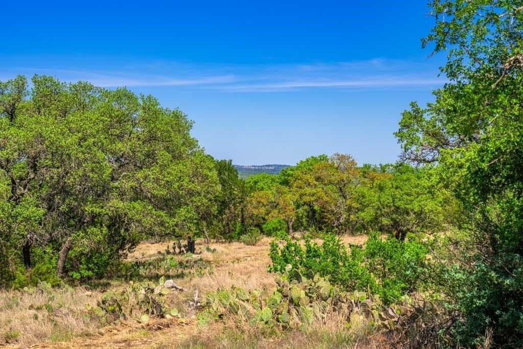 29.62 acres in Gillespie County - photo 22