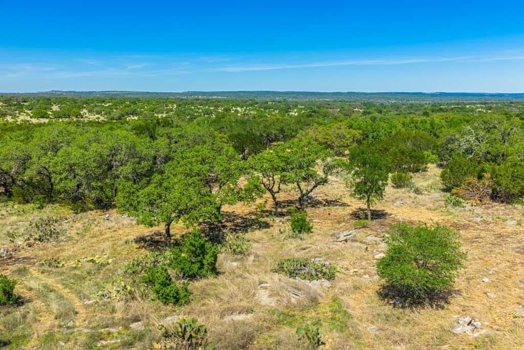 29.62 acres in Gillespie County gallery image 2