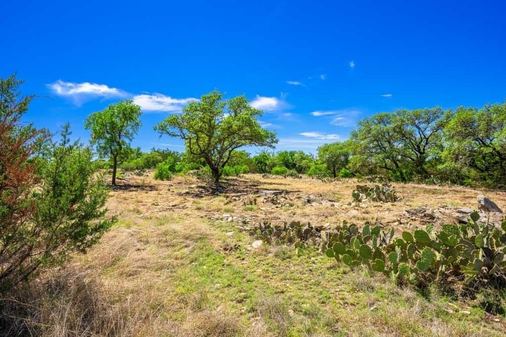 29.62 acres in Gillespie County - photo 11