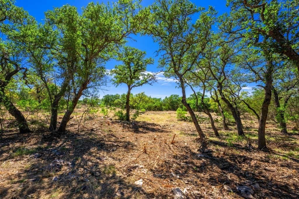 29.62 acres in Gillespie County - photo 15