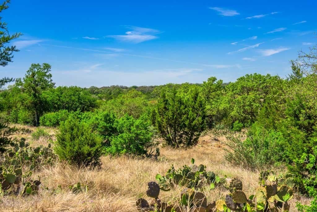 29.62 acres in Gillespie County - photo 10