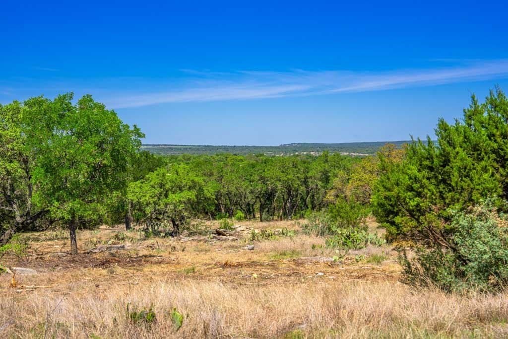 29.62 acres in Gillespie County - photo 7