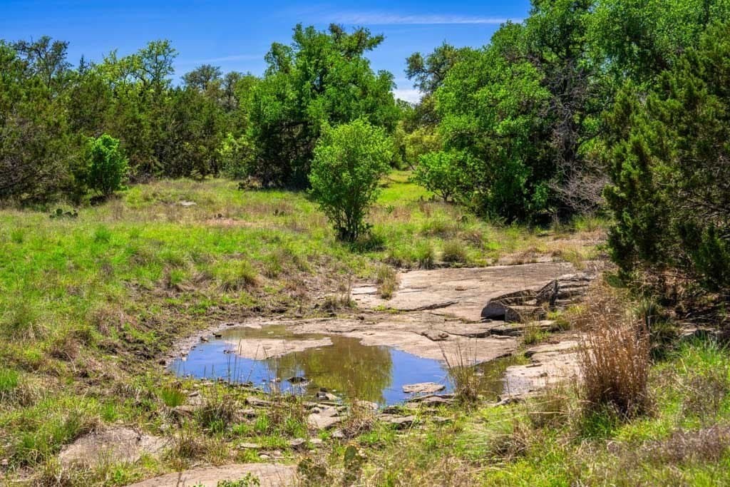 29.62 acres in Gillespie County - photo 19