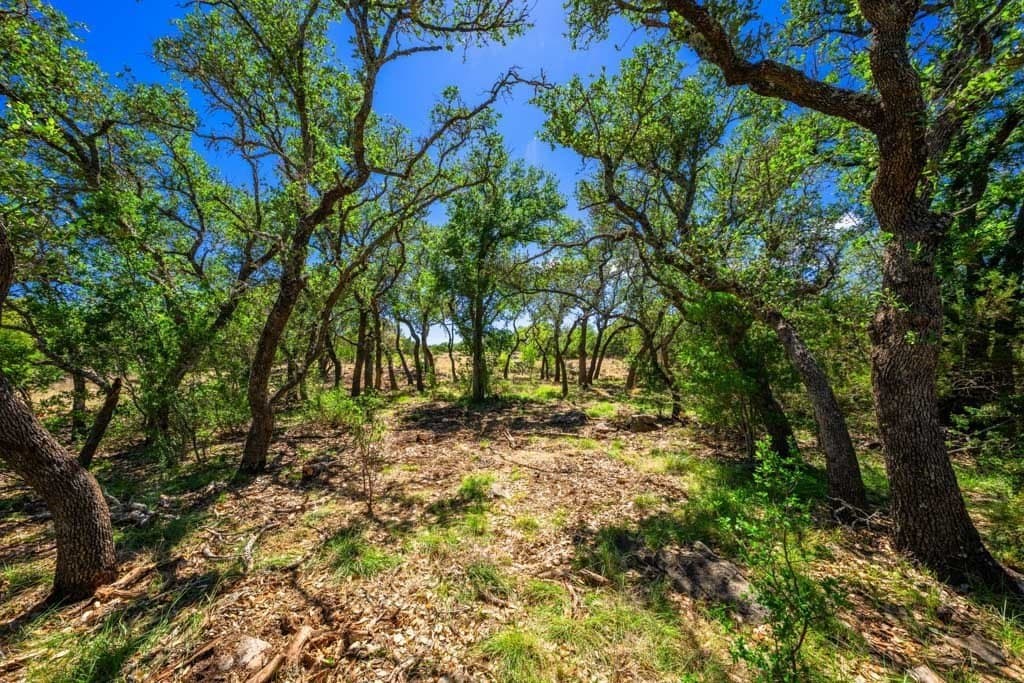 29.62 acres in Gillespie County - photo 14